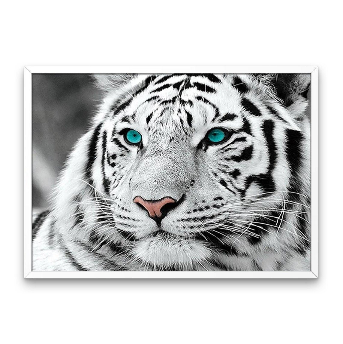 Tiger - Tiger