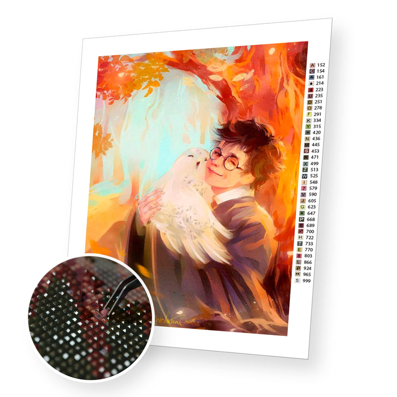 Harry Potter and Owl premium diamond painting kit for adults