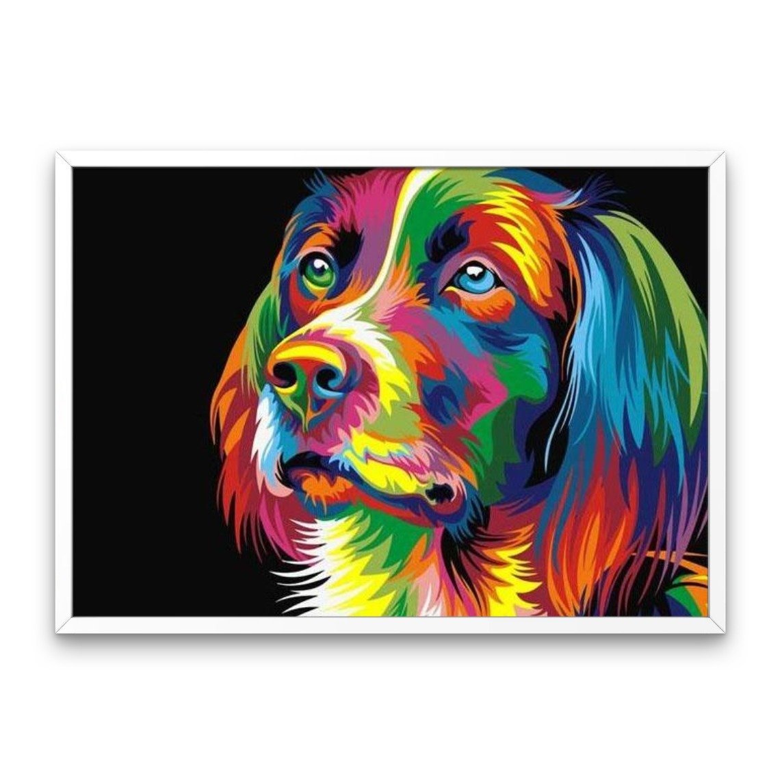 Färgglad hund