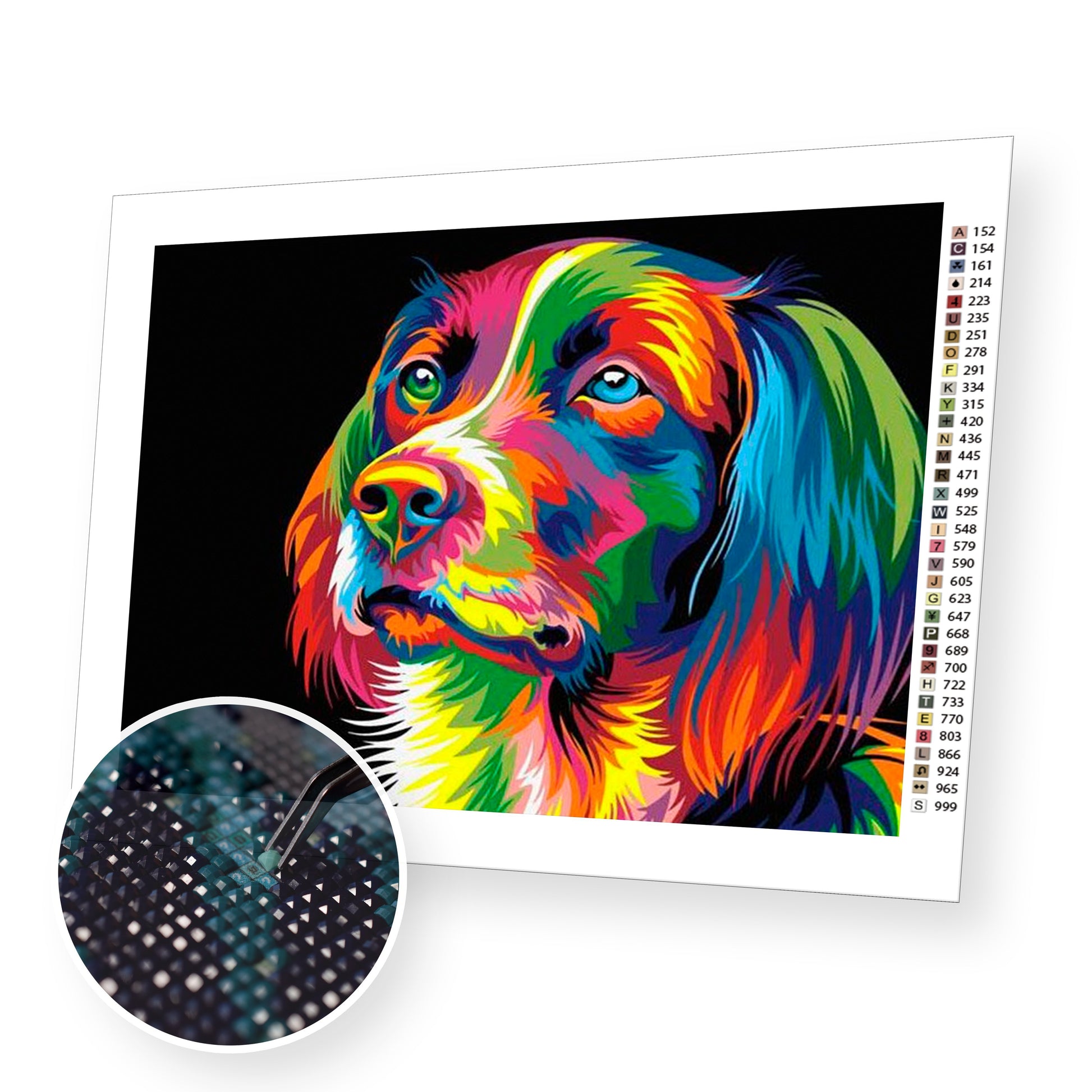 Colorful Dog premium diamond painting kit for adults