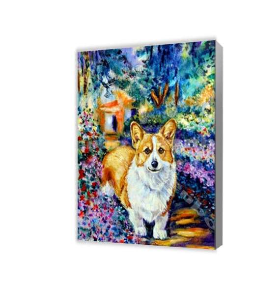 Corgi hund