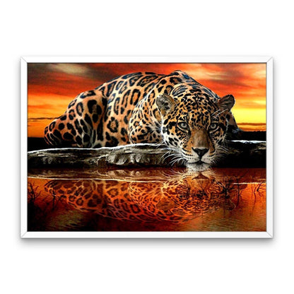 Fierce leopard