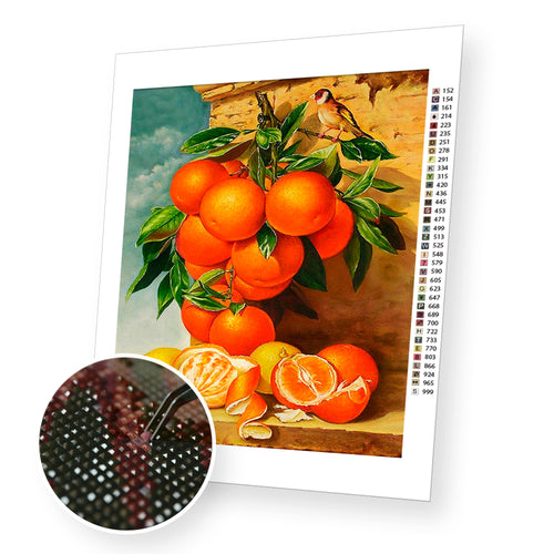 Oranges premium diamond painting kit for adults